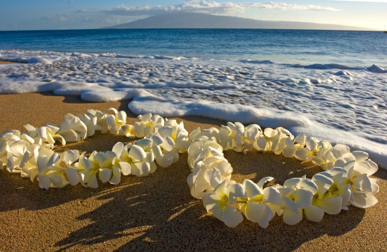 Beautifully Upgraded Studio Close To Waikiki Beach Appartement Honolulu Buitenkant foto